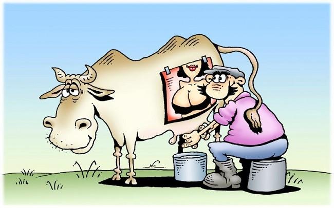 Подробнее о статье Смешные карикатуры про коров