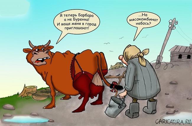 Лучшие анекдоты про коров