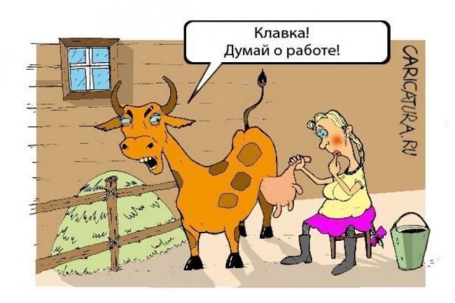 Смешные карикатуры про коров