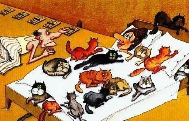 Прикольные карикатуры про котов и кошек