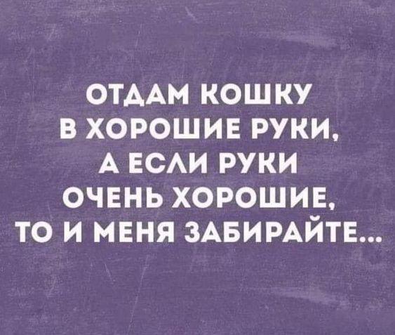 Подробнее о статье Лучшие смешные свежие шутки