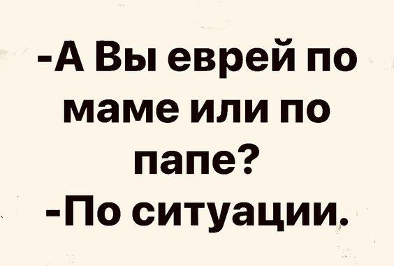 Подробнее о статье Лучшие прикольные свежие шутки