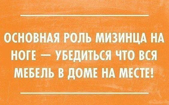 Подробнее о статье Лучшие ржачные до слез свежие шутки