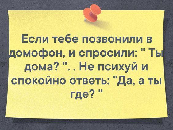 Свежие прикольные до слез шутки на картинках