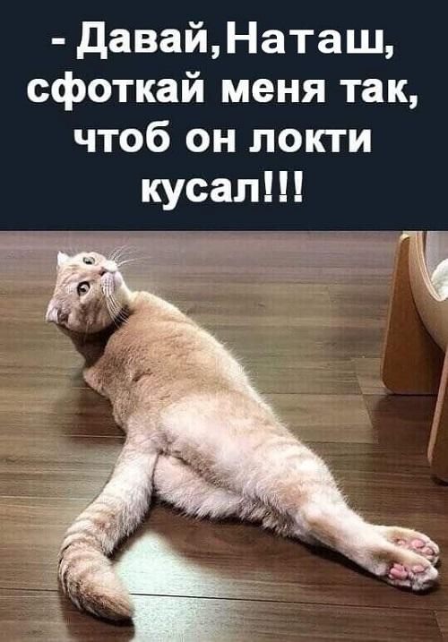Лучшие забавные картинки и мемы