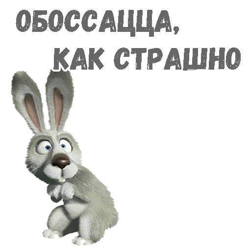 Лучшие забавные картинки и мемы