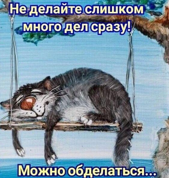 Классные картинки и мемы