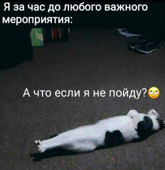 Классные картинки и мемы