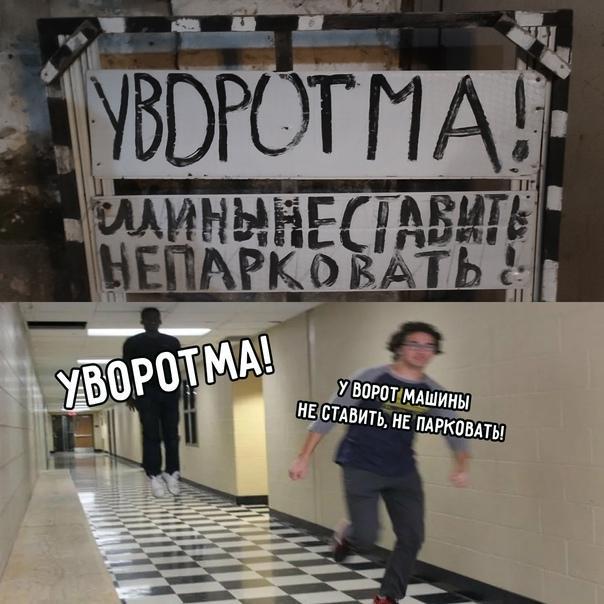 Хорошие и смешные картинки и мемы