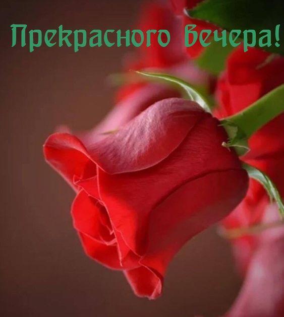 Доброго и приятного вечера - позитивные картинки Подробнее о статье Доброго и приятного вечера — позитивные картинки