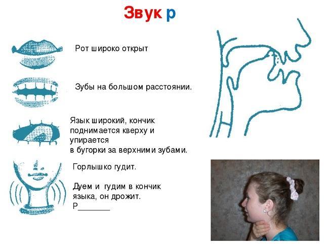упражнения для кончика языка звук р
