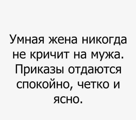 Подробнее о статье Самые смешные статусы и шутки