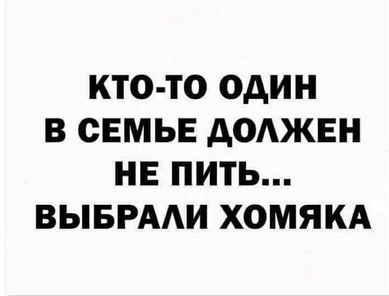 Подробнее о статье Ржачные статусы и шутки