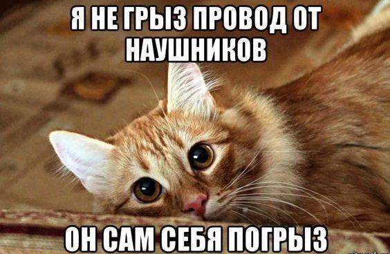 Классные улетные картинки и мемы