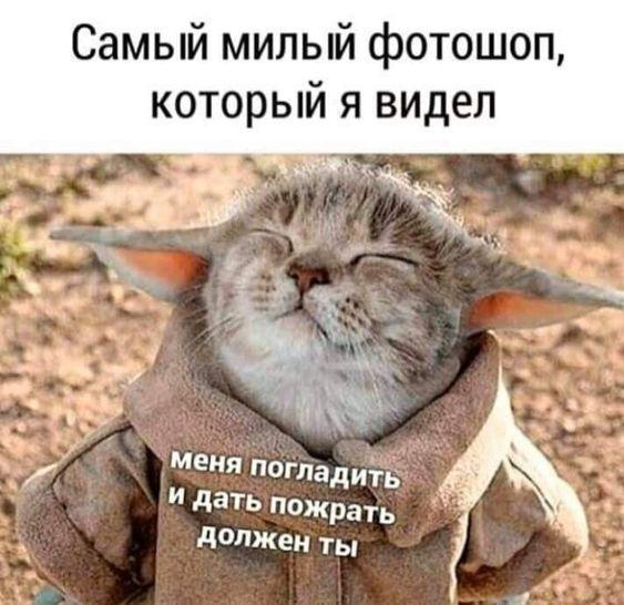 Классные убойные картинки и мемы