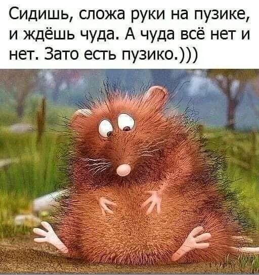 Классные убойные картинки и мемы