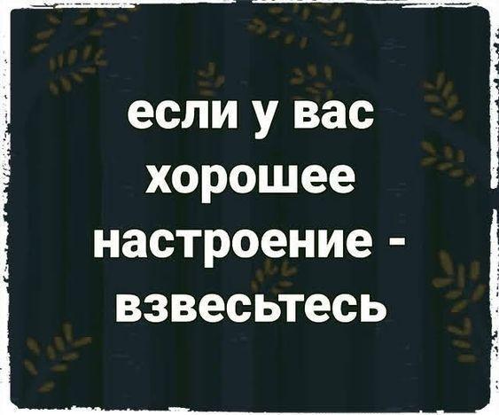 Подробнее о статье Самые свежие шутки