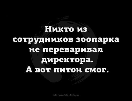 Подробнее о статье Клевые статусы и шутки