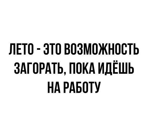 Подробнее о статье Читать смешные статусы и шутки