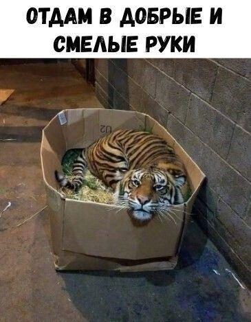 Самые угарные картинки и мемы