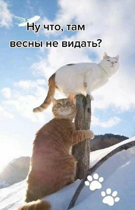 Подборка классных мемов