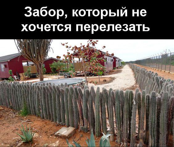 Подборка веселых мемов Подробнее о статье Подборка веселых мемов