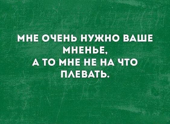 Подробнее о статье Читать угарные статусы и шутки