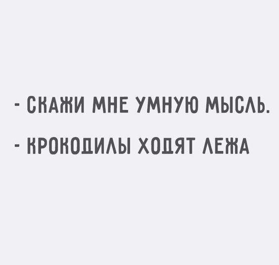 Подробнее о статье Самые свежие угарные шутки