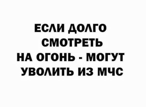 Подробнее о статье Очень свежие и очень смешные шутки