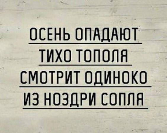 Подробнее о статье Новые шутки для статусов