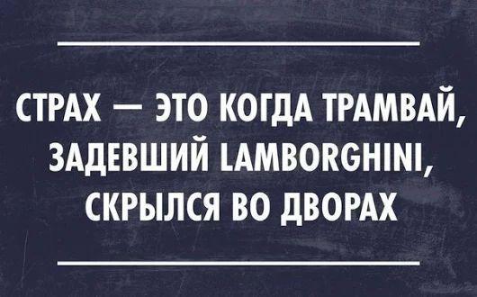 Подробнее о статье Очень смешные фразы для статусов