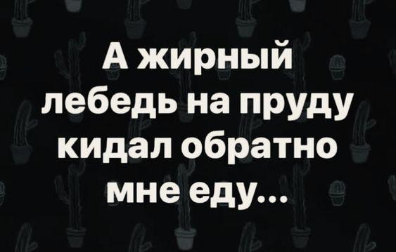 Подробнее о статье Прикольные до слез фразы для статусов