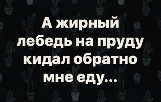 Подробнее о статье Прикольные до слез фразы для статусов