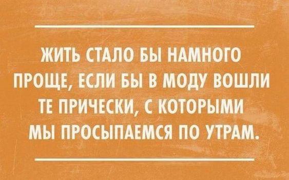 Подробнее о статье Веселые фразы для статусов