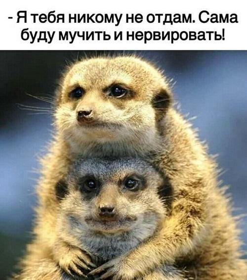Подборка самых смешных мемов