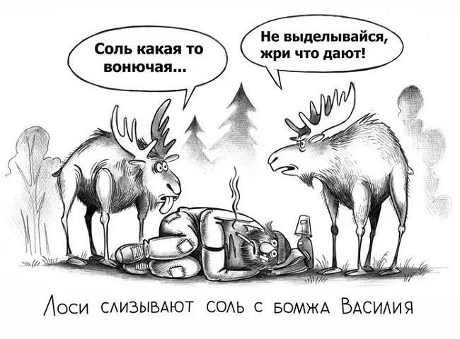 Смешные анекдоты про лося