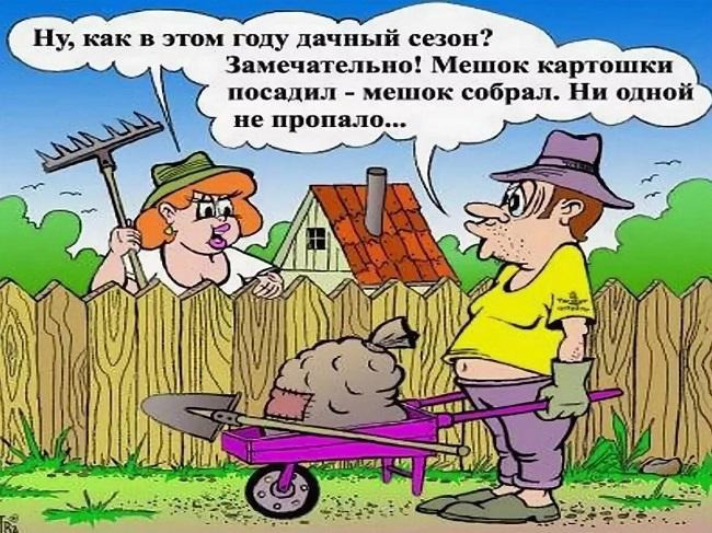 Свежие анекдоты и люк