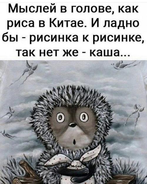 Свежие веселые картинки