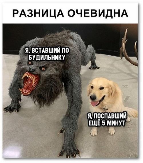 Хорошая подборка картинок с надписями
