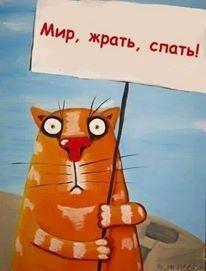 Хорошая подборка картинок с надписями