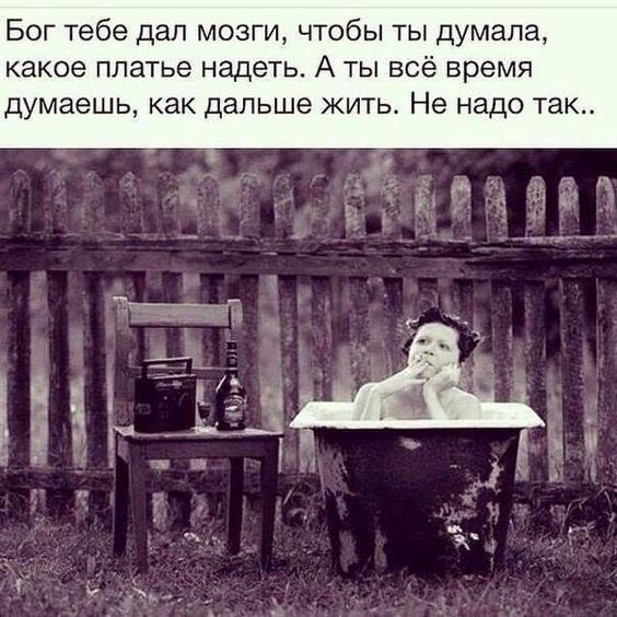 Свежие веселые картинки