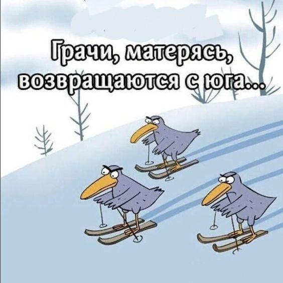 Подборка лучших картинок и мемов