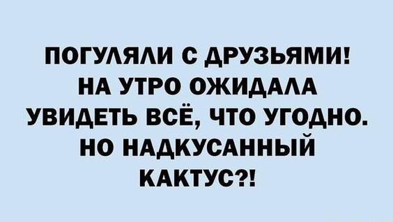 Самые смешные статусы на разные темы