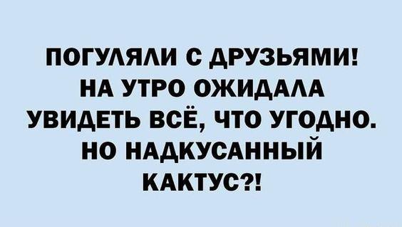 Ржачные до слез статусы на разные темы