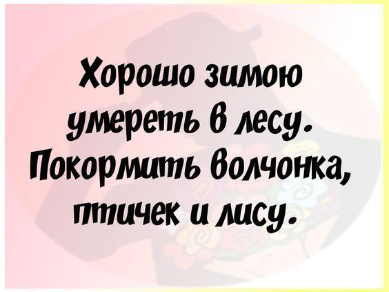 Подробнее о статье Очень свежие лучшие шутки