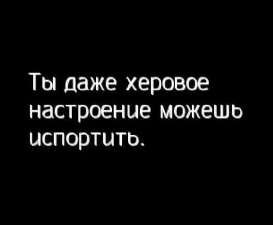 Подробнее о статье Читать статусы с юмором