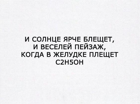 Подробнее о статье Смешные статусы на все случаи жизни