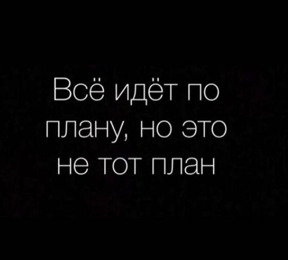 Подробнее о статье Самые смешные статусы на все случаи жизни