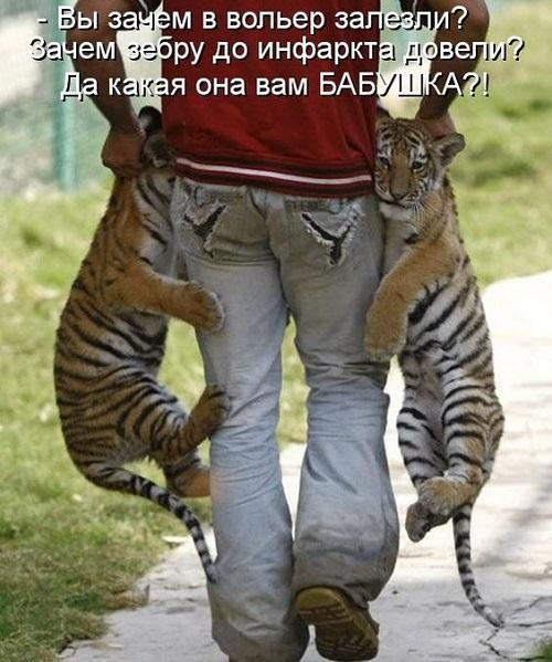 Веселая подборка картинок с надписями