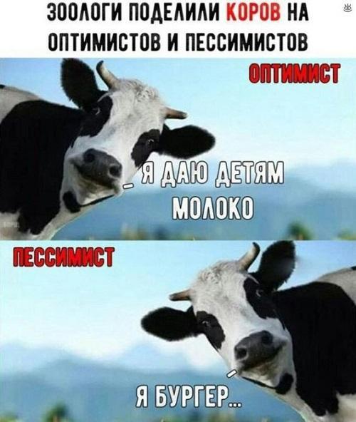 Хорошая подборка картинок с надписями